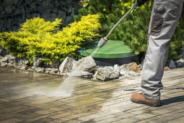 Animal Enclosure Cleaning in Warrensburg, MO